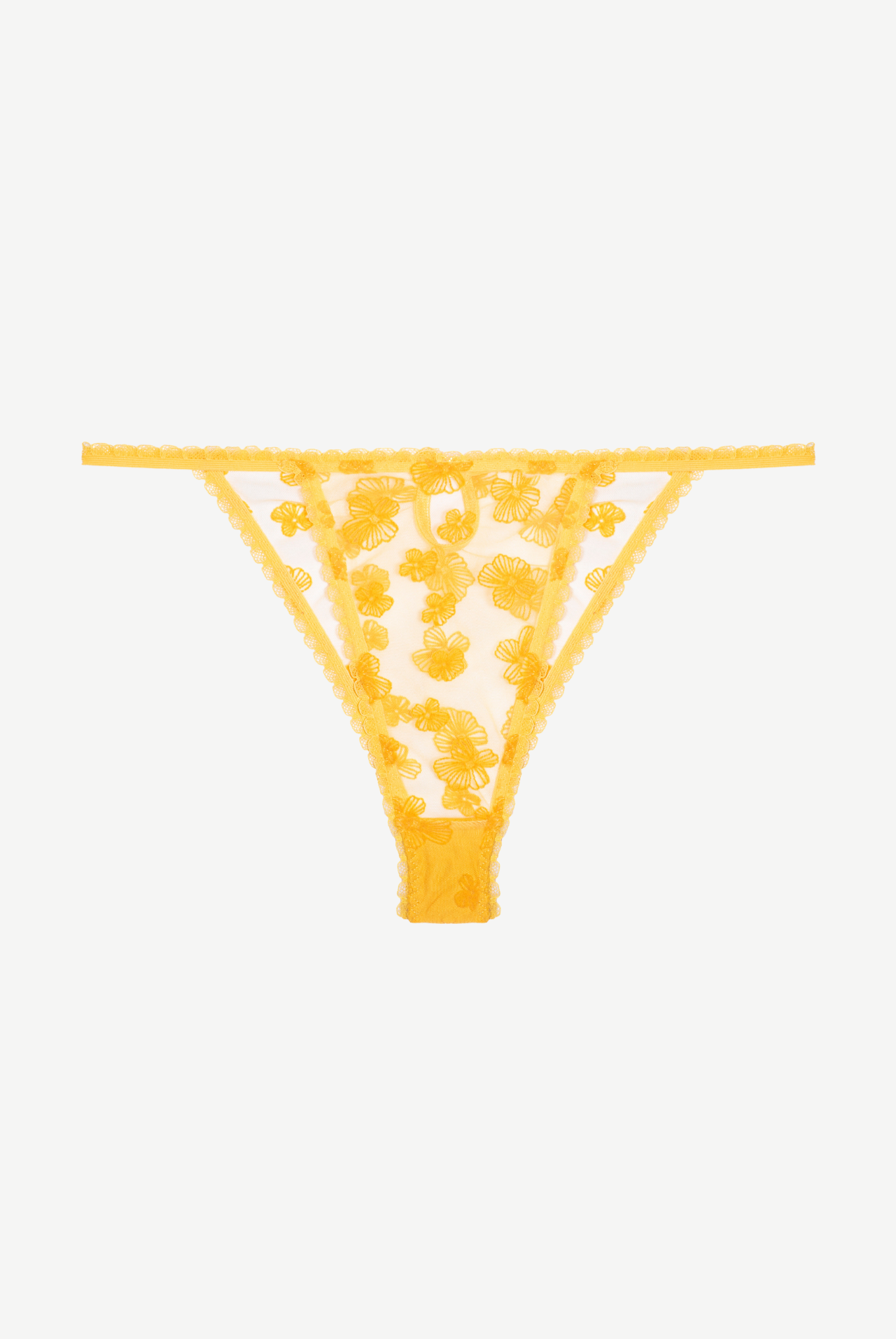 HIBISCUS Briefs