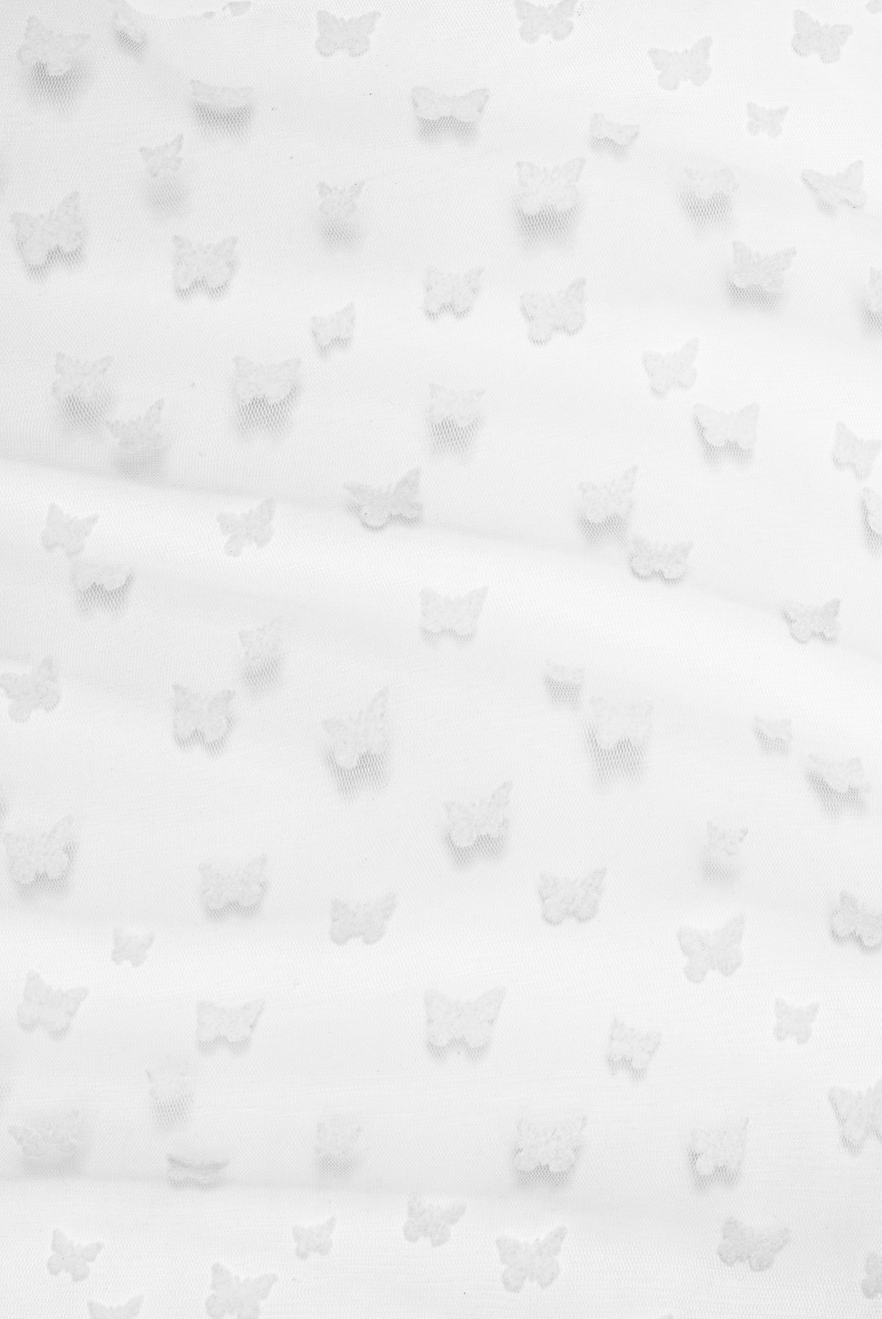 PAPILLON Briefs