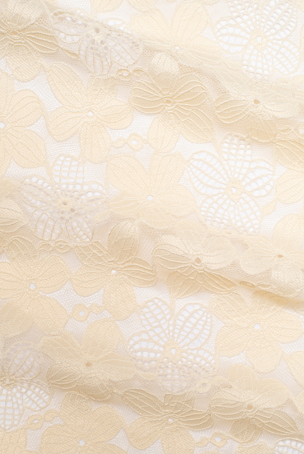 Sofia Trousers - cream