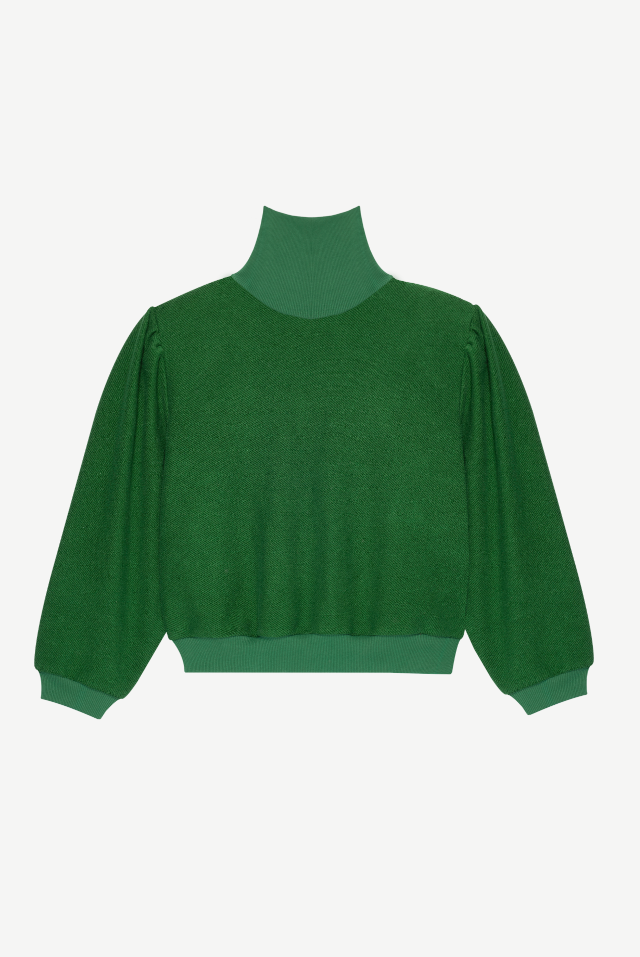 Timeo Organic Cotton Sweatshirt with Turtleneck