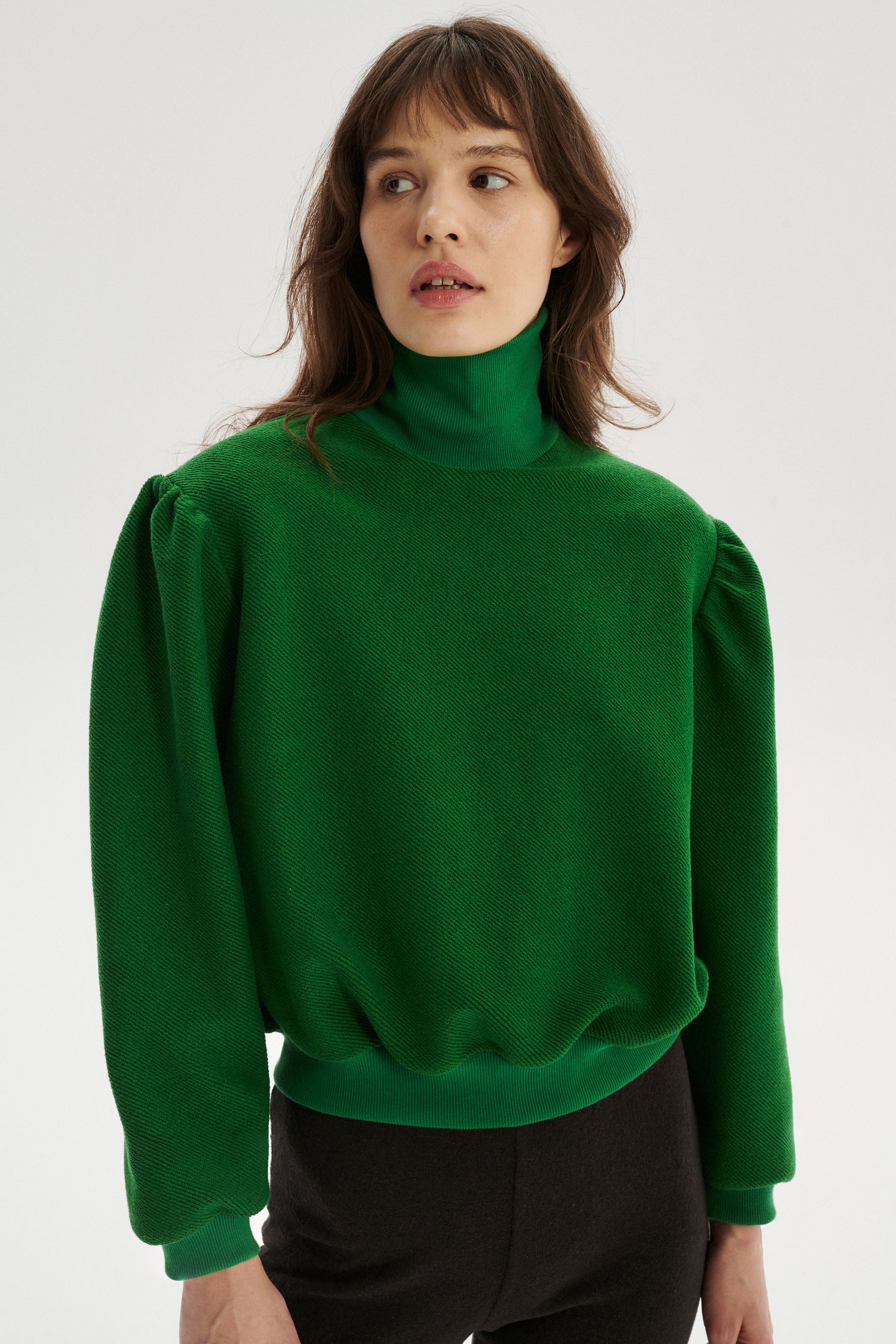 Timeo Organic Cotton Sweatshirt with Turtleneck