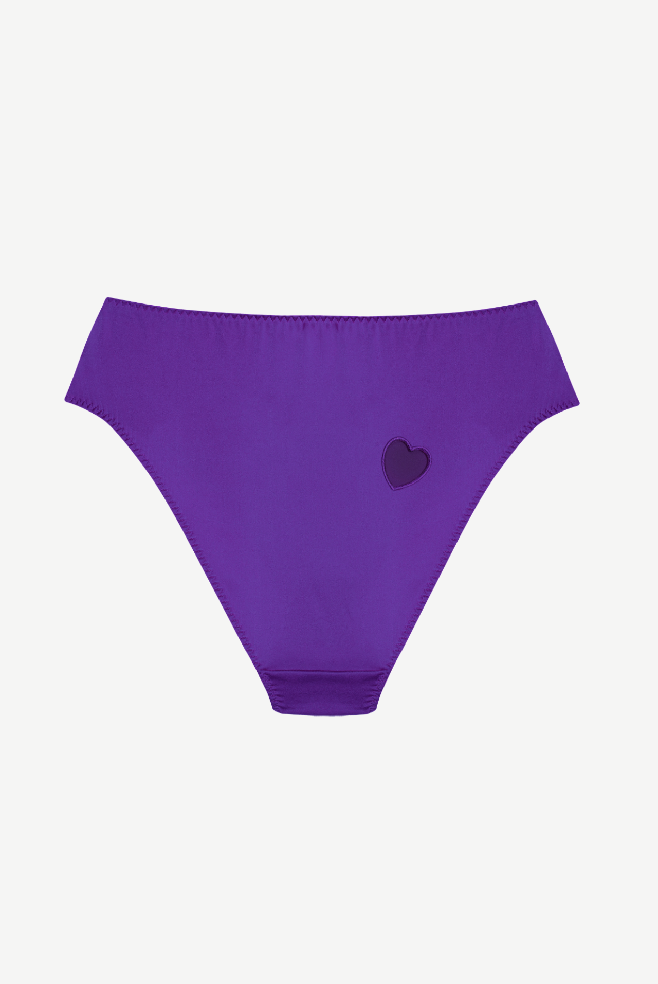 PRUNE High Waist Satin Briefs